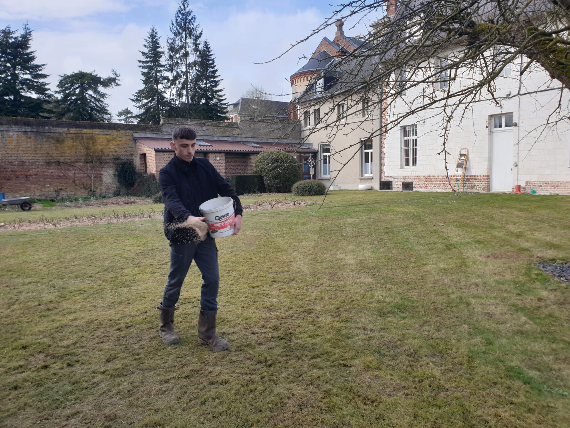 LE TREFLE - Comment le supprimer de manière écologique