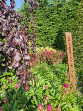 Jardinage Naturel : Conseils pratiques pour un jardin équilibré et florissant !