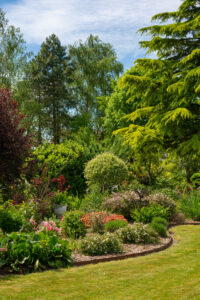 Massif plantation vegetal Carnel paysages Paysagiste Peronne 200x300 - Les 4 plantes arbustives les plus florifères pour embellir votre jardin toute l'année !