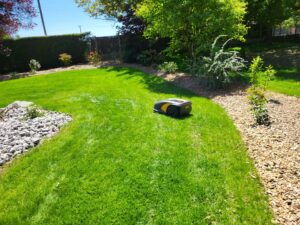 20230526 132817 300x225 - Comparatif tondeuse thermique et robot de tonte : Quel choix pour une pelouse impeccable ?