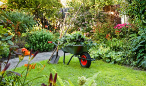 outils de jardinage essentiels 1 300x176 - Jardinage en Hiver : Transformez Votre Jardin en Havre de Sérénité !