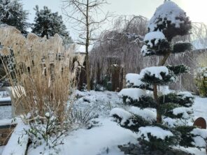 La neige au jardin : alliée ou ennemie ?