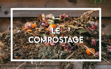 Guide sur le compostage en copropriété et propriété en 2024