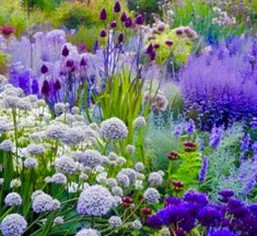 Image14 - Un jardin coloré toute l'année : Arbustes et astuces pour chaque saison