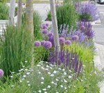 Image7 - Un jardin coloré toute l'année : Arbustes et astuces pour chaque saison