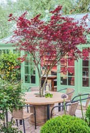 Image11 - Un jardin coloré toute l'année : Arbustes et astuces pour chaque saison