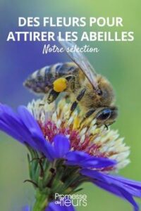 a4a8607be1d2d8384af8105f7b5ee35b 200x300 - Un Jardin Paradis pour les Papillons : Créer un Refuge Naturel pour Nos Amis Ailés