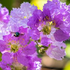 d6d8125ddd6be0707593ae2b3003b0b2 - Automne au jardin : Les avantages de planter maintenant pour un printemps prospère