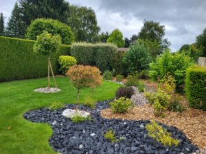 20240610 145013 300x225 - Automne au jardin : Les avantages de planter maintenant pour un printemps prospère