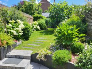 20240628 141711 300x225 - Automne au jardin : Les avantages de planter maintenant pour un printemps prospère