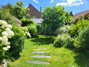 20240628 141718 300x225 - Automne au jardin : Les avantages de planter maintenant pour un printemps prospère