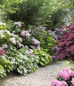 a4844eea2891c0170513059f6181ba34 1 - Plantes pour massif à l'ombre : Idées et conseils pour un jardin harmonieux