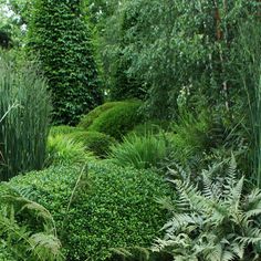 e332f49d336fcd67d4a50c8459497e84 - Plantes pour Massif à l'Ombre : Créez un Coin Verdoyant et Apaisant