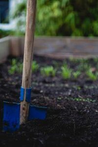 4650174cbed0a7a795e7b407f1845106 200x300 - Amender la terre de votre jardin : le secret d'une floraison éclatante et d'un potager productif