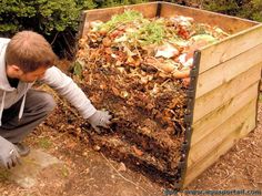 e3cc92a43262a1d2face96578ba45bd5 - Amender la terre de votre jardin : le secret d'une floraison éclatante et d'un potager productif