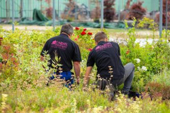 Soin du jardin : que faire avant le printemps ?