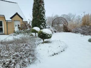 20240120 111242 300x225 - Prendre soin des oiseaux en hiver