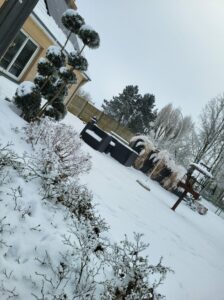 20240120 111432 224x300 - Prendre soin des oiseaux en hiver