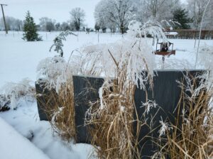 20240120 140000 300x224 - Prendre soin des oiseaux en hiver