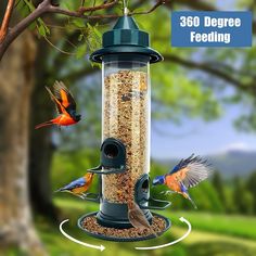 915ed527c10a22943cacafdebeb41de2 - Prendre soin des oiseaux en hiver