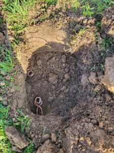 20250303 094531 224x300 - Les taupes au jardin : comment les éliminer naturellement et sans produits chimiques ?