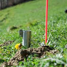 telechargement 1 - Les taupes au jardin : comment les éliminer naturellement et sans produits chimiques ?