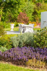20220509 AP 039 A8816 200x300 - Plantation d’arbustes, de vivaces : pour quel style de massif choisir les bonnes plantes