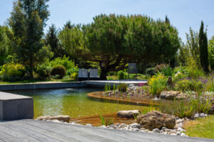 20220509 AP 044 B9459 300x200 - Plantation d’arbustes, de vivaces : pour quel style de massif choisir les bonnes plantes