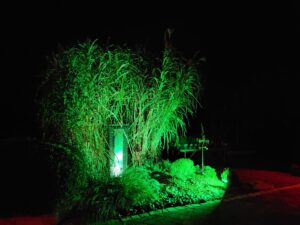20231009 062718 300x225 - Éclairage de jardin pour prolonger la vue de son jardin en osant la couleur