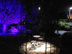 20231009 063215 300x225 - Éclairage de jardin pour prolonger la vue de son jardin en osant la couleur