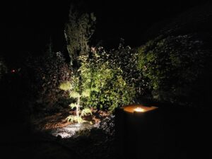 20231009 063302 300x225 - Éclairage de jardin pour prolonger la vue de son jardin en osant la couleur