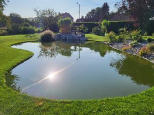 20240826 092056 300x225 - Bassin entre contemporain et naturel… lequel pour un jardin bucolique ?