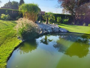 20240826 092112 300x225 - Bassin entre contemporain et naturel… lequel pour un jardin bucolique ?