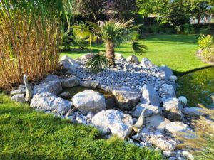 20240826 092118 300x225 - Bassin entre contemporain et naturel… lequel pour un jardin bucolique ?