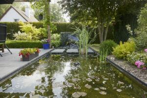 25 05 Carnel J1 CK 13 300x200 - Bassin entre contemporain et naturel… lequel pour un jardin bucolique ?