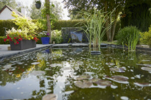 25 05 Carnel J1 CK 15 300x200 - Bassin entre contemporain et naturel… lequel pour un jardin bucolique ?