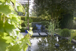 25 05 Carnel J1 CK 16 300x200 - Bassin entre contemporain et naturel… lequel pour un jardin bucolique ?