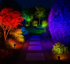 Éclairage de jardin pour prolonger la vue de son jardin en osant la couleur