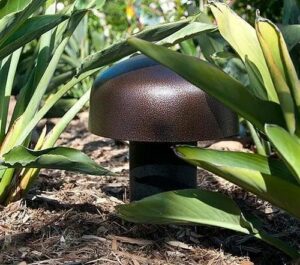 e084ee87f3ac40f99bec94f21b857f6d 300x265 - Sonorisation de jardin : la touche en plus pour le bien-être
