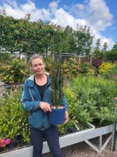 Soin des plantes d’intérieur, sortez-les en été.