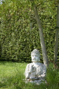carnel paysages carnel paysages