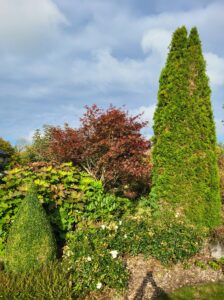 Cure de jouvence automnale : chouchoutez votre jardin pour un printemps éclatant