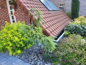 C’est le moment d’entretenir votre gazon !