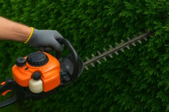 Taille de haie de conifère : dernière ligne droite avant l’hiver
