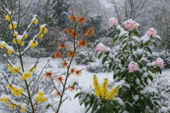 Les floraison d’hiver : c’est magique ! Découvrez les arbres et arbustes adaptés au Nord de la France