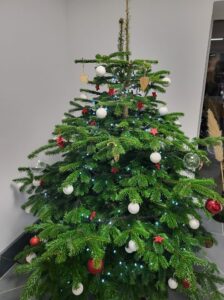 Pourquoi faire le choix d’un sapin naturel pour Noël ?