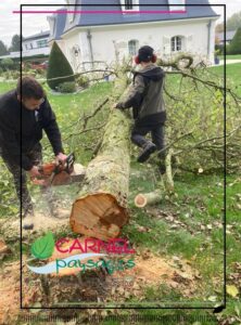 Janvier un mois idéal pour l’élagage et la taille d’arbre