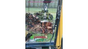 Janvier un mois idéal pour l’élagage et la taille d’arbre