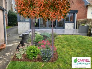 Pourquoi concevoir son jardin en hiver