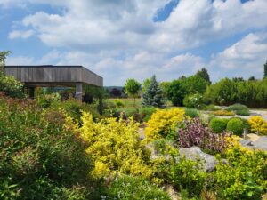 Février que faire au jardin taille : guide complet pour vos jardins !